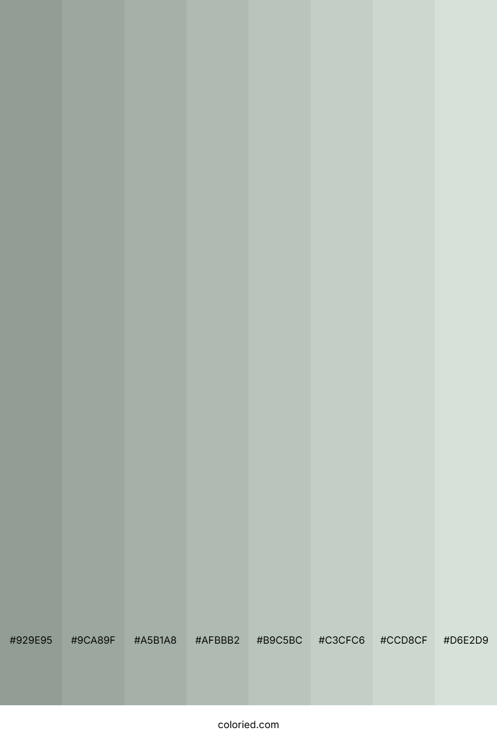 Ash Grey Shades