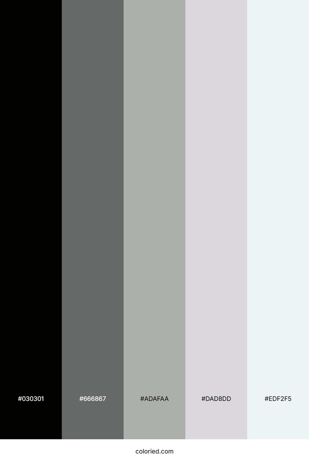 Ashen Moonlight Drift Palette