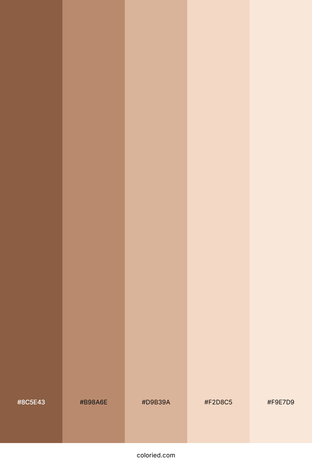 Asian Skin Color Palette