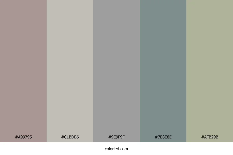 Asteroid Grey Veil Color Palette