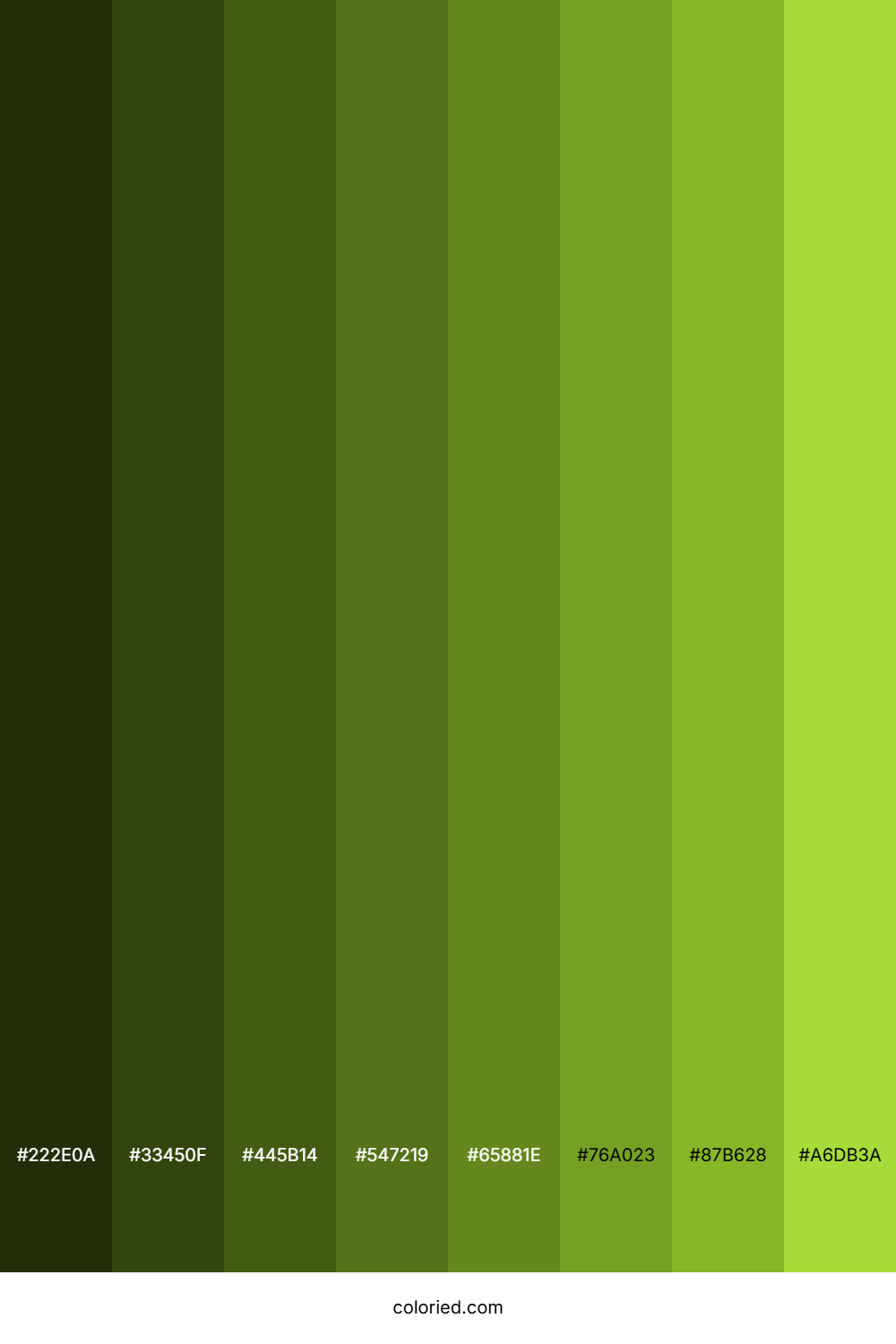 Atlantis Color Shades