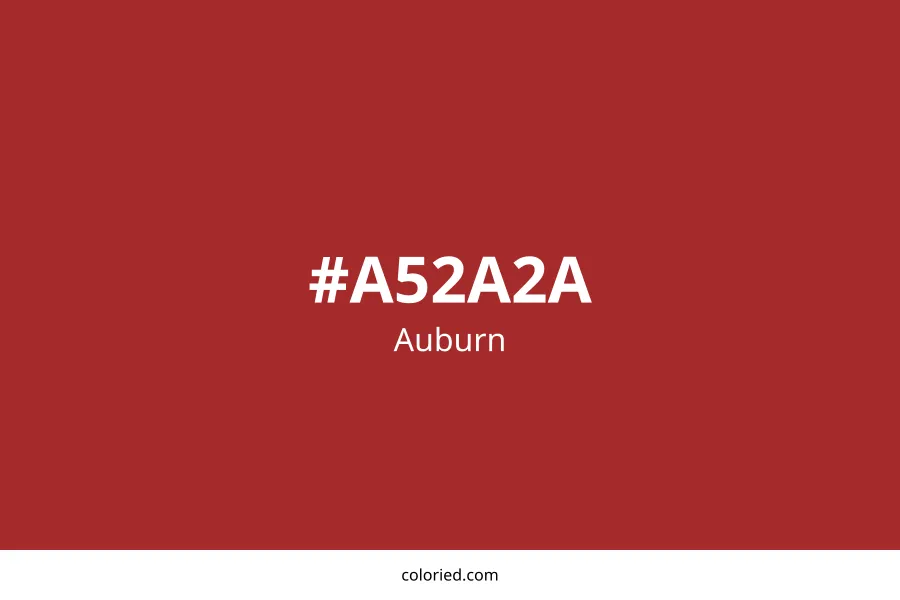 Auburn Color