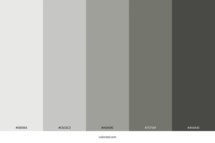 Austere Gray Color Palette