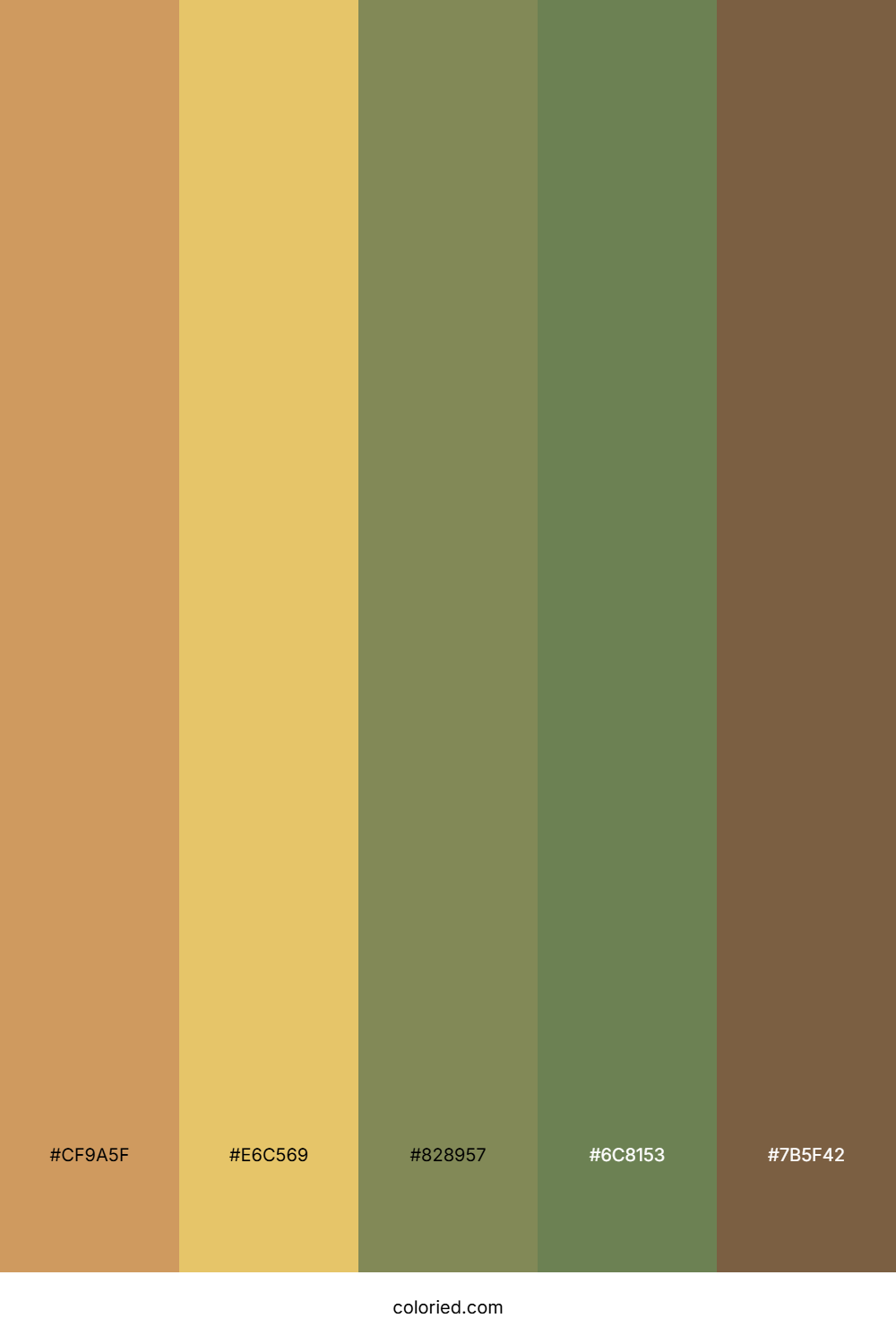 Autumn Amber Forest Color Palette