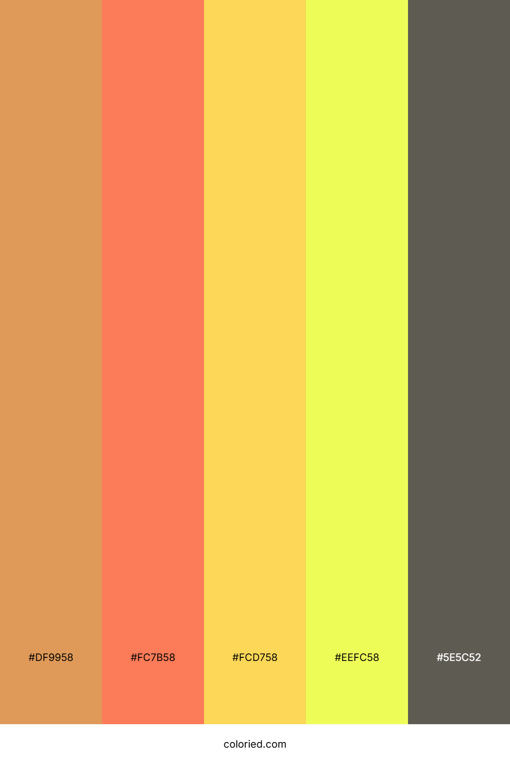 Autumn Citrus Sunrise Color Palette