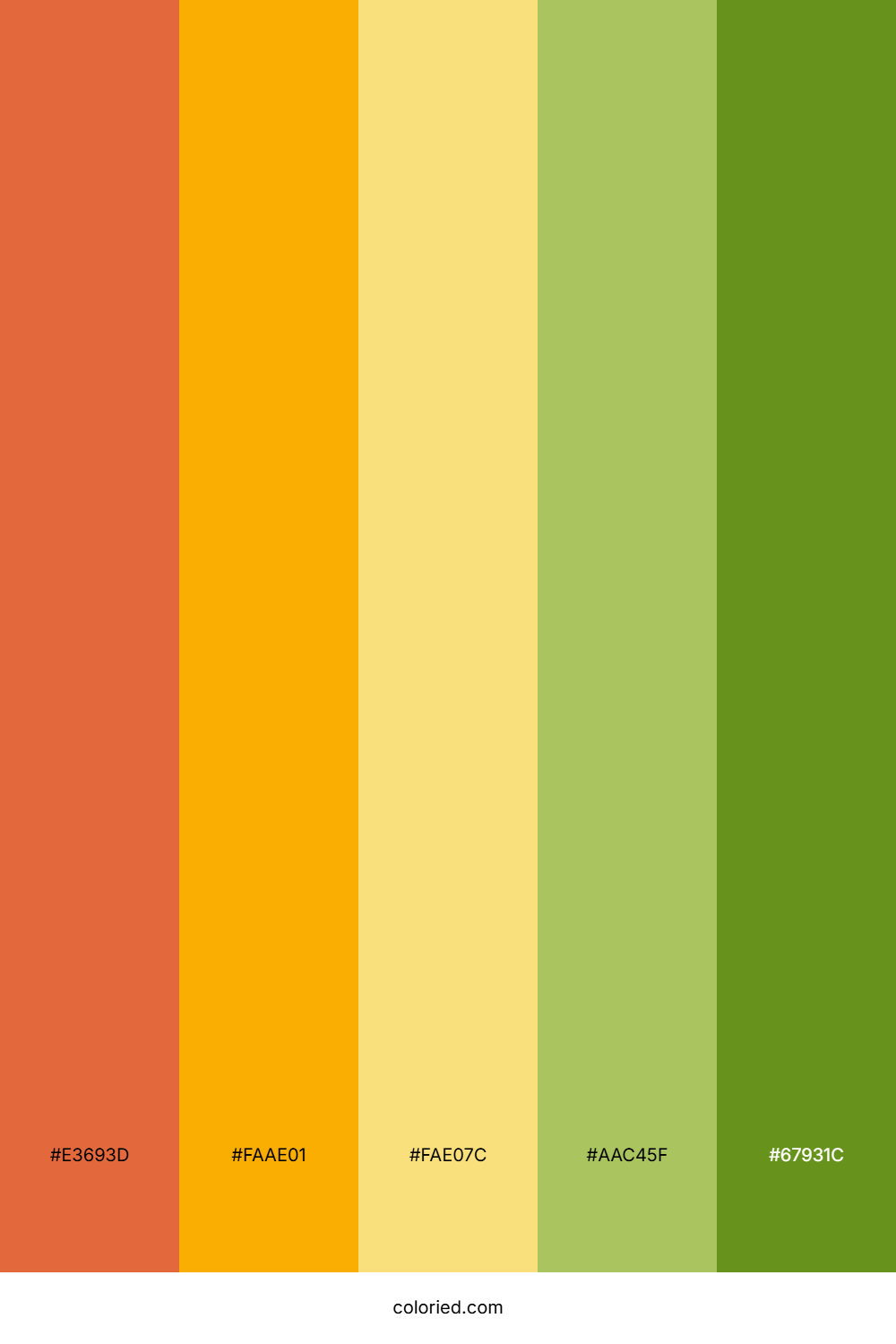 Autumn Flame Meadow Color Palette