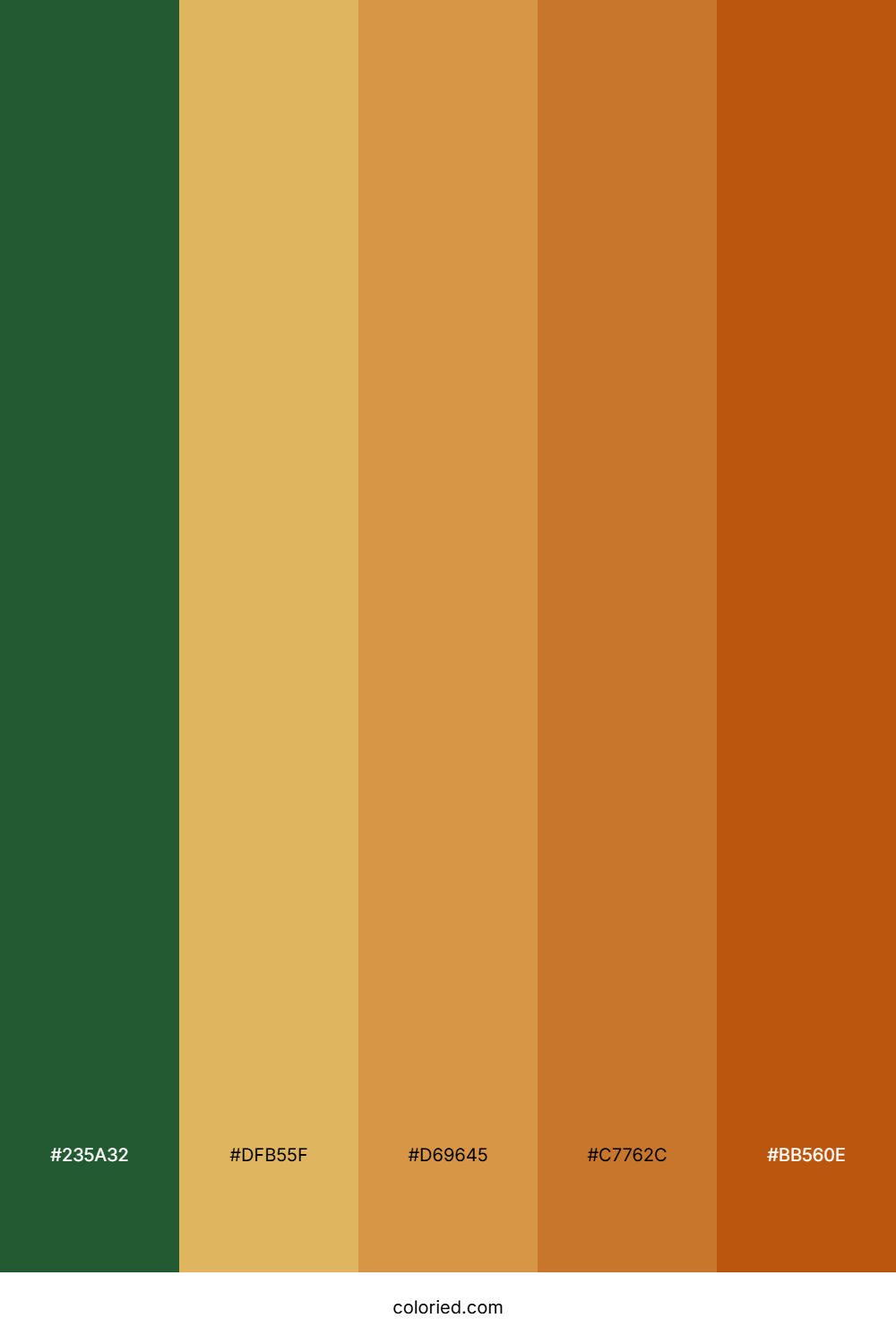 Autumn Harvest Spice Color Palette