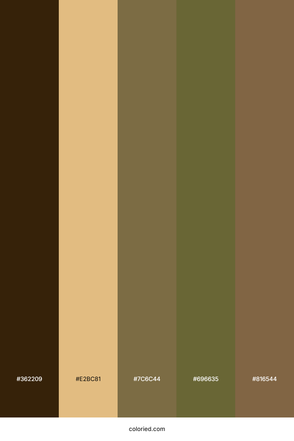 Autumn Harvest Wood Color Palette