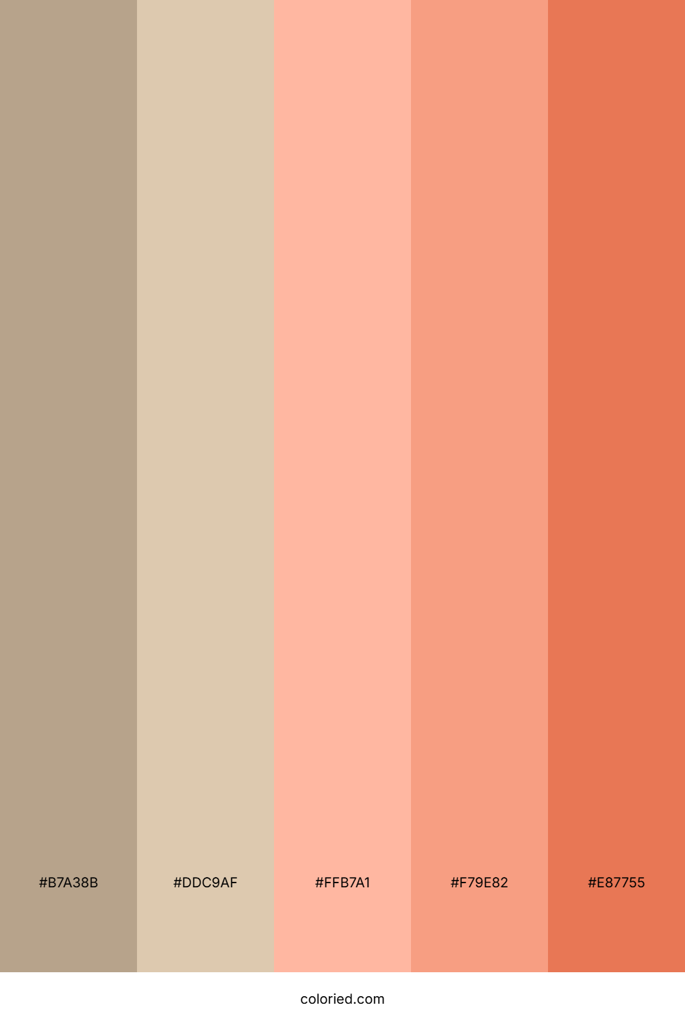 Autumn Honey Spice Palette