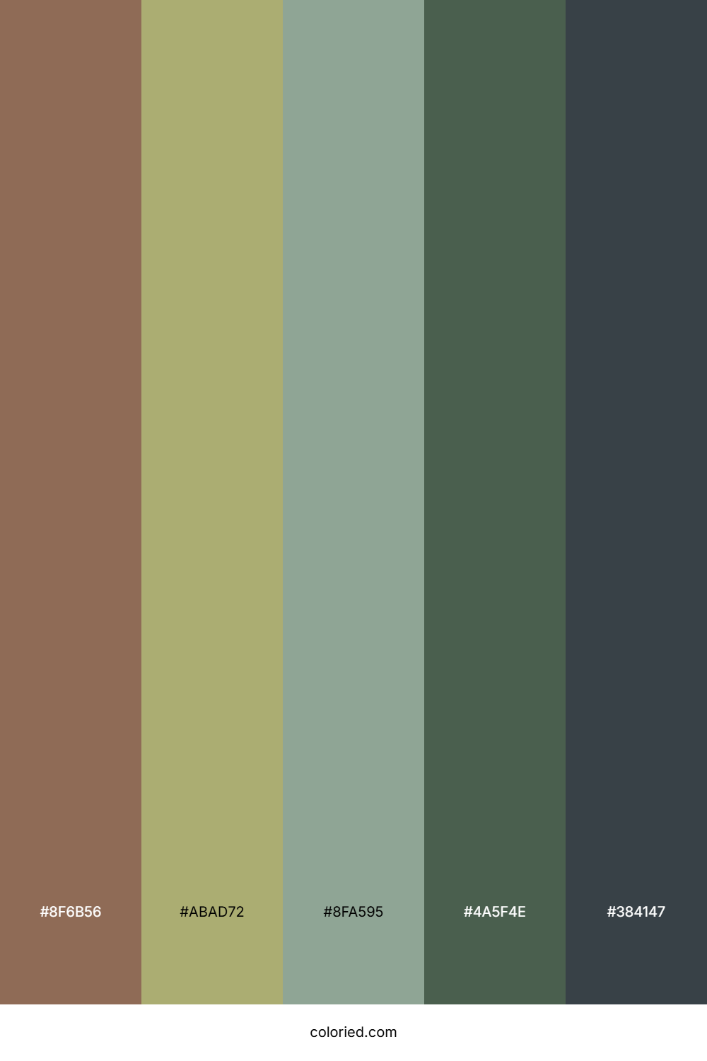 Autumn Olive Grove Color Palette