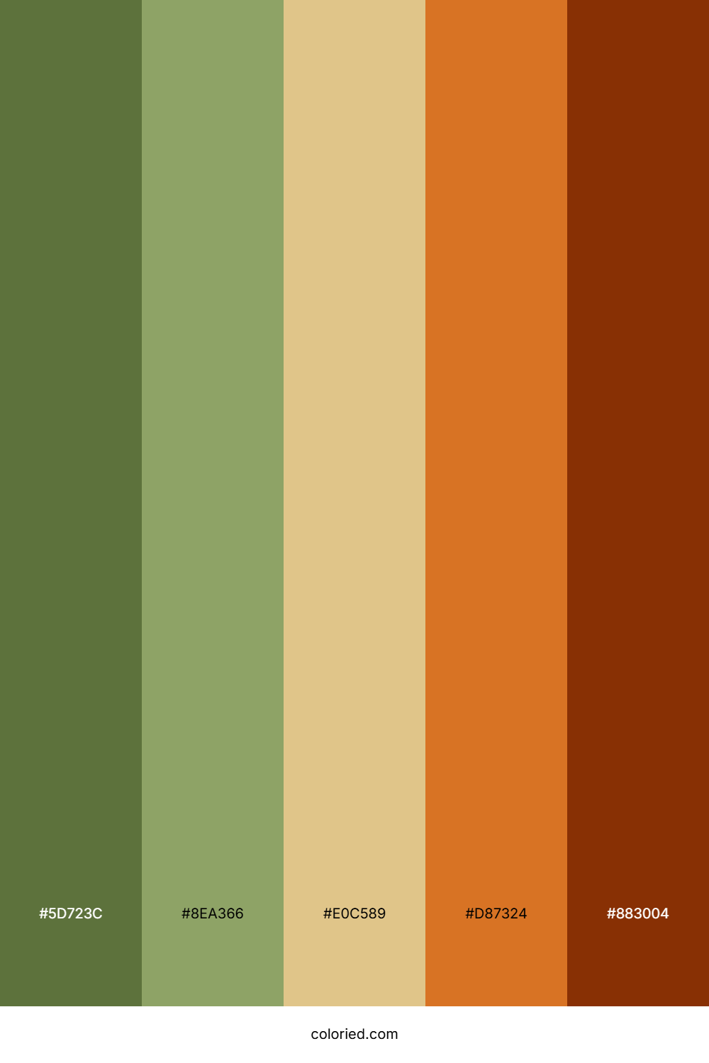 Autumn Sage Harvest Color Palette