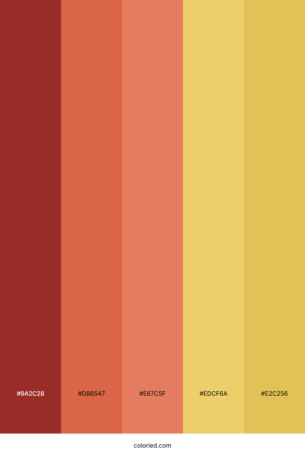 Autumn Spice Warmth Palette