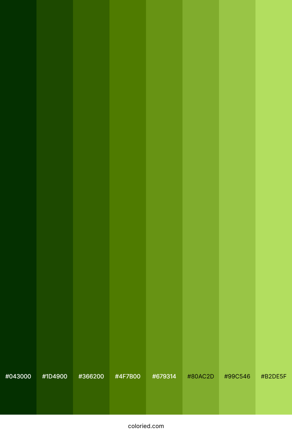 Avocado Green Shades