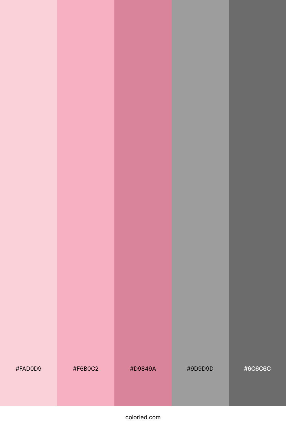 Baby Pink and Grey Color Palette