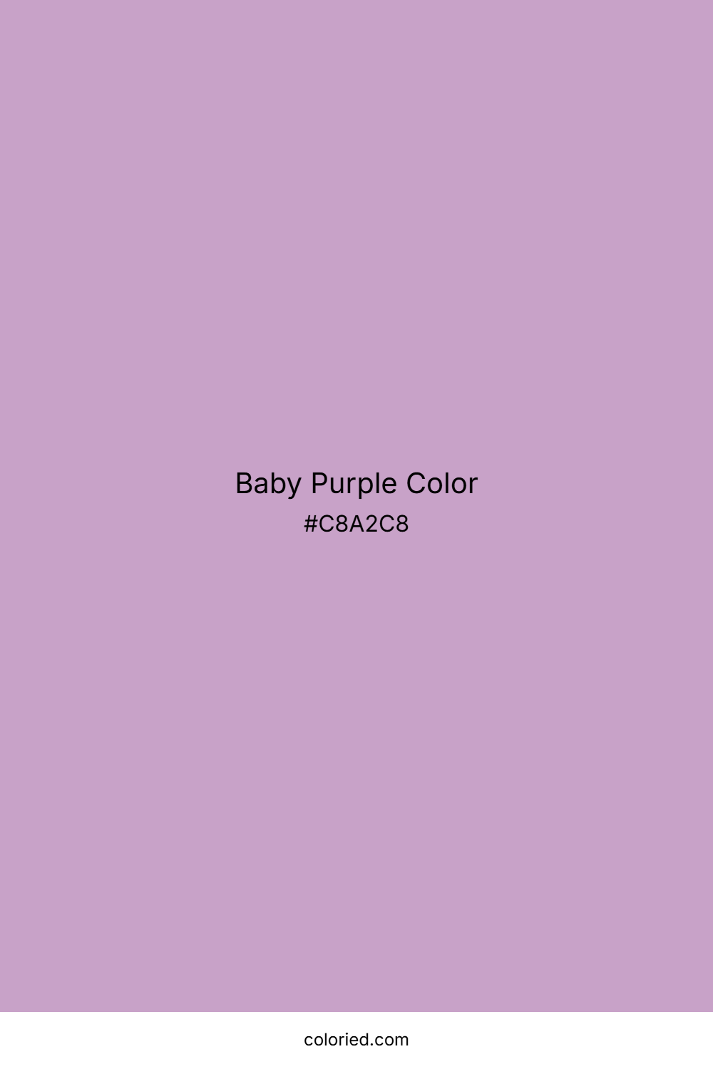 Baby Purple Color