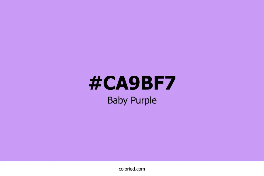 Baby Purple Color