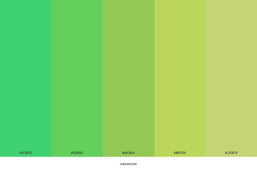 Bamboo Color Palette