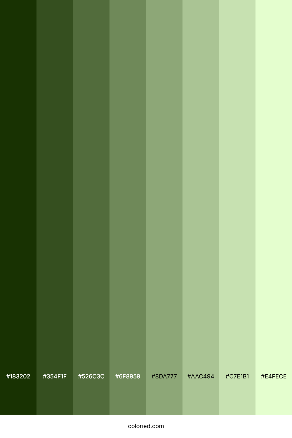 Basil Green Shades