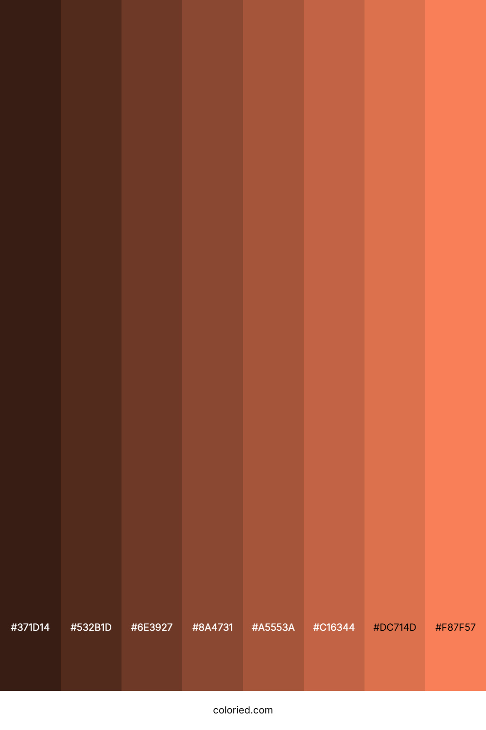 Basket Ball Orange Shades