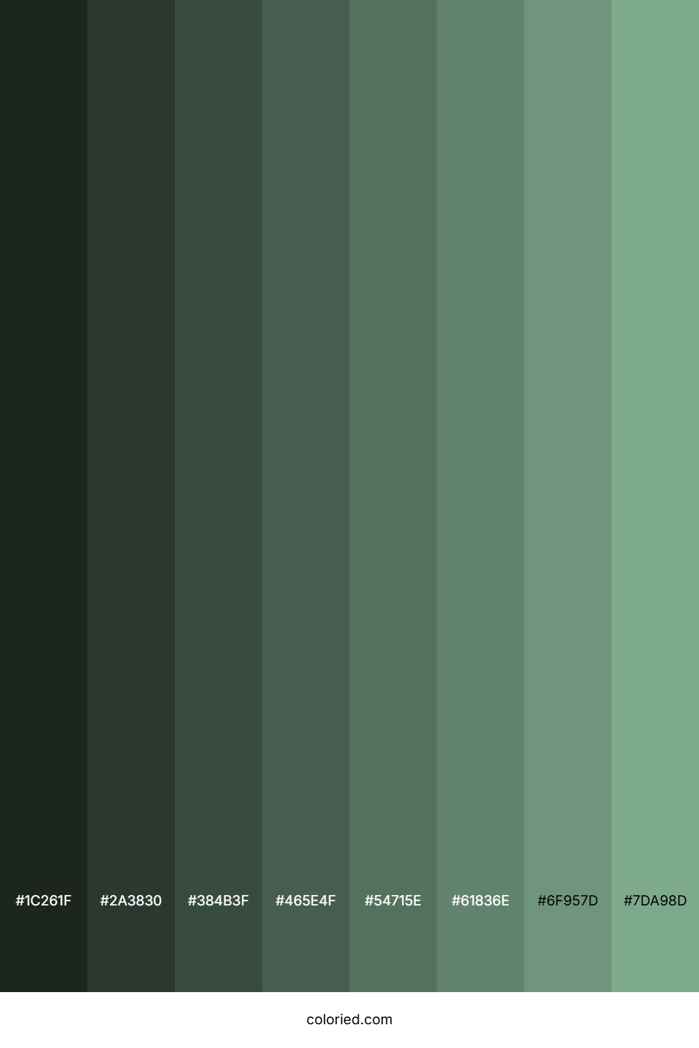 Bay Leaf Color Shades