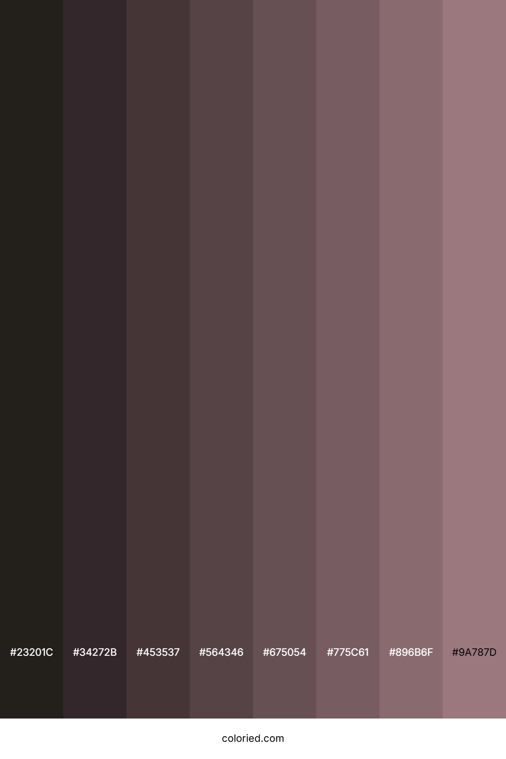 Bazaar Color Shades