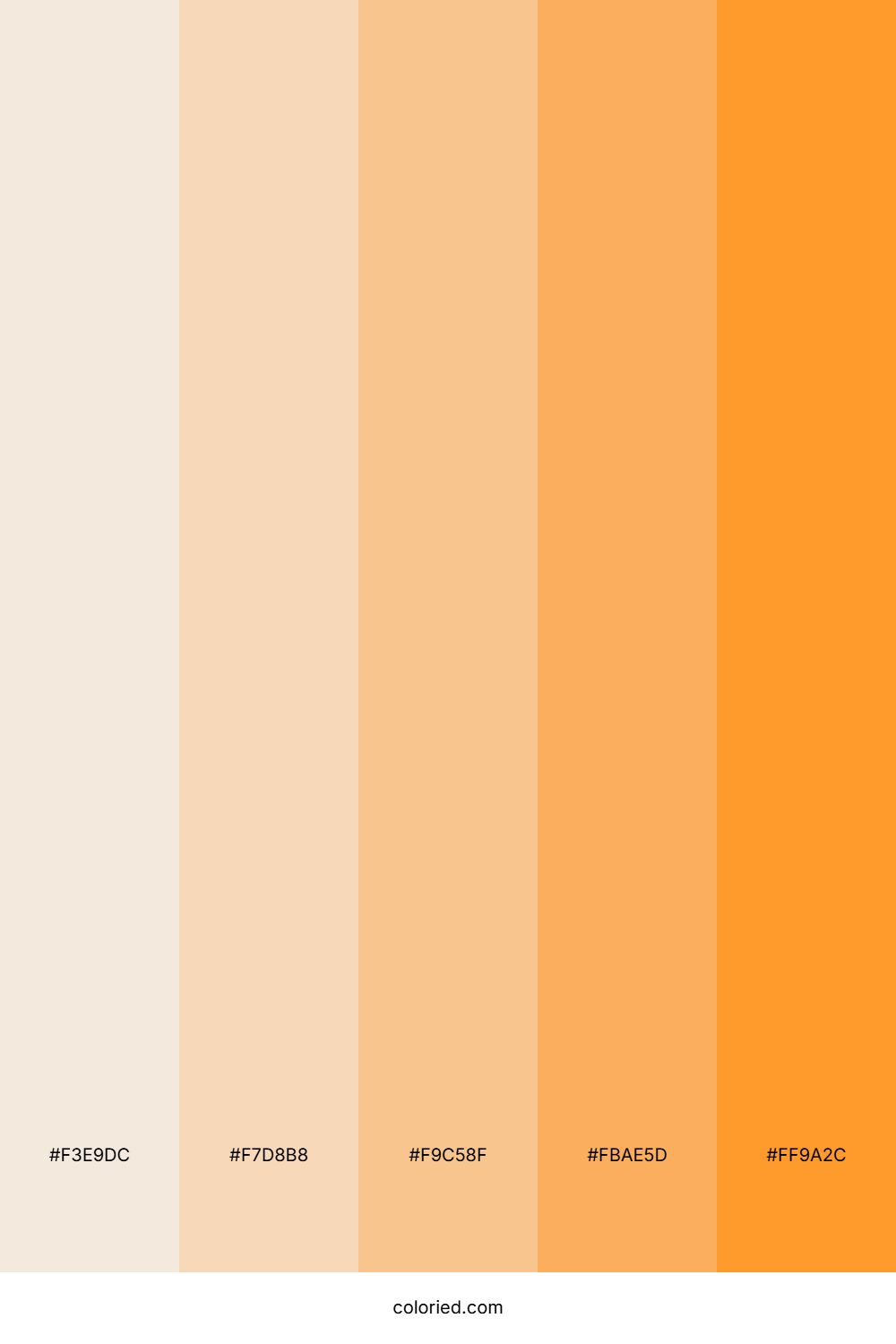 Beach Color Palette