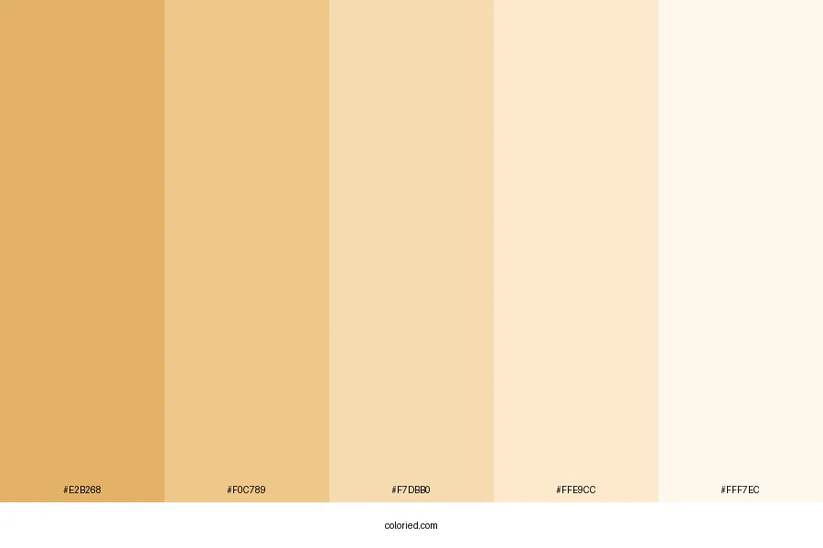 Beach Sand Color Palette