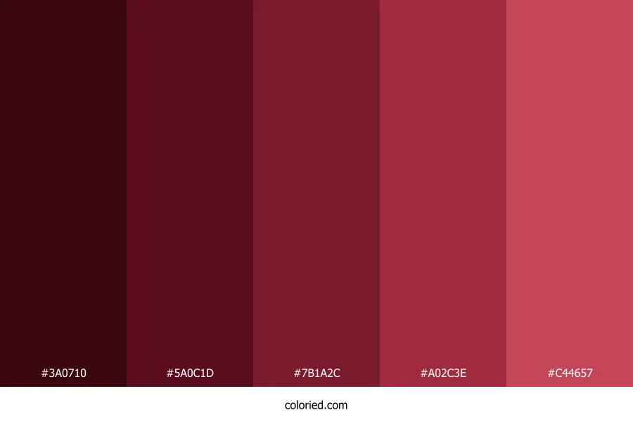 Beautiful Burgundy Color Palette