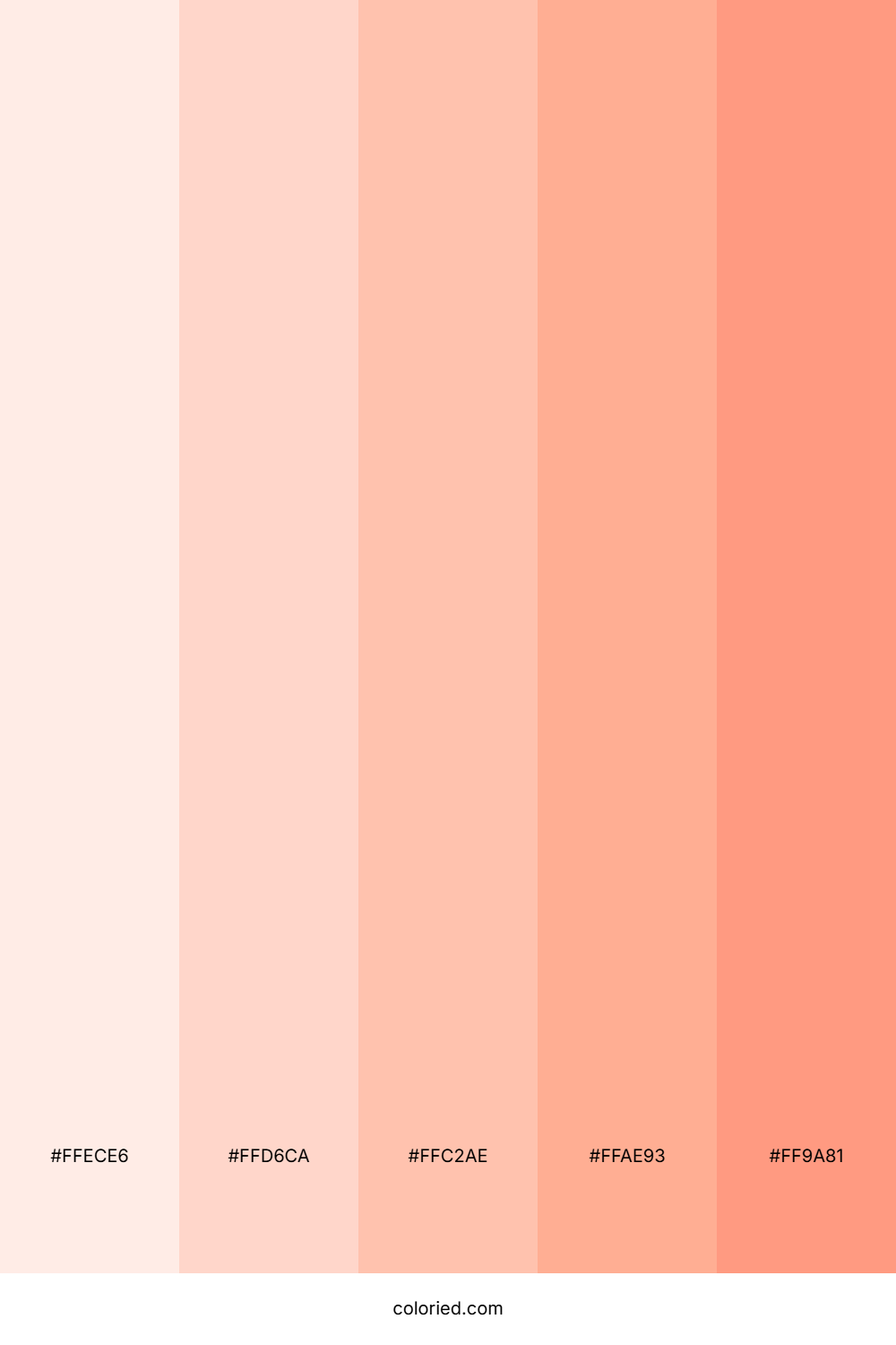 Beautiful Fair Skin Color Palette