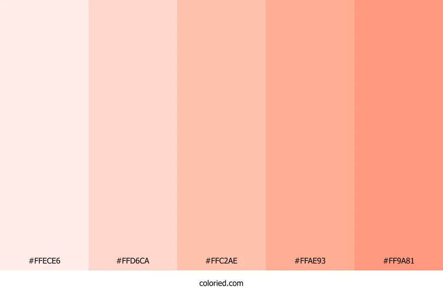 Beautiful Fair Skin Color Palette