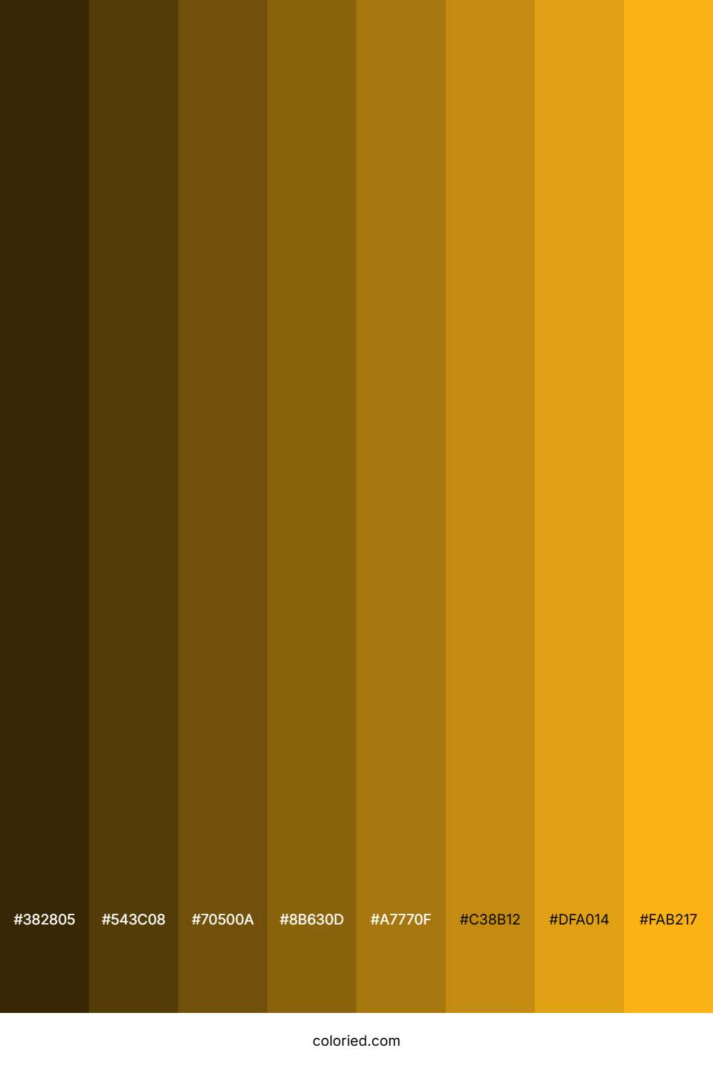 Beer Color Shades