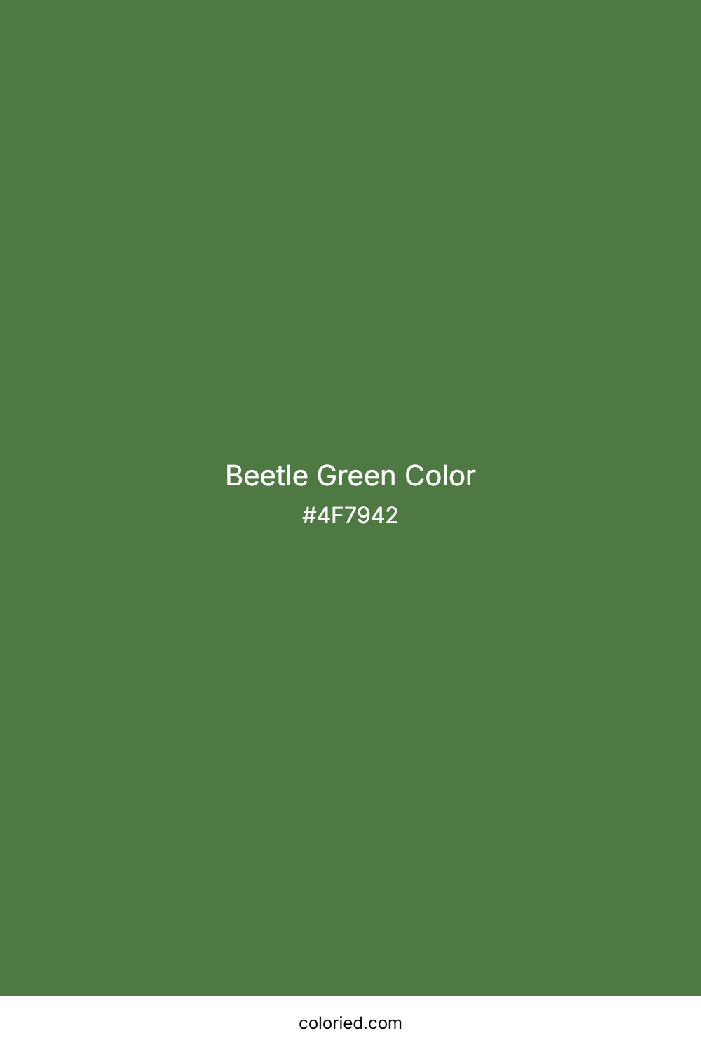 Beetle Green Color