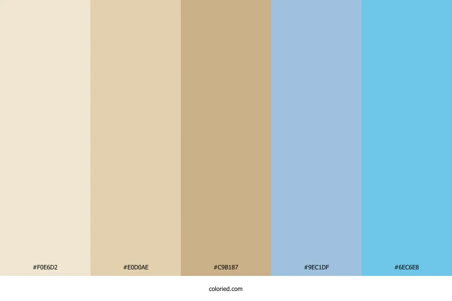 Beige and Light Blue Color Palette