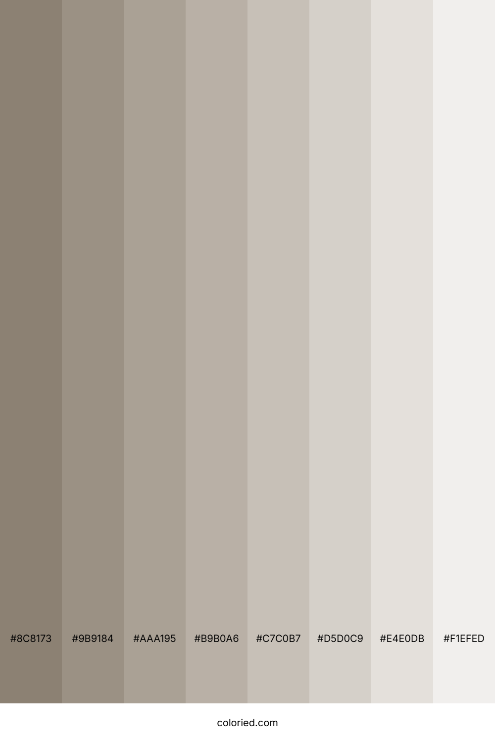 Beige Shades