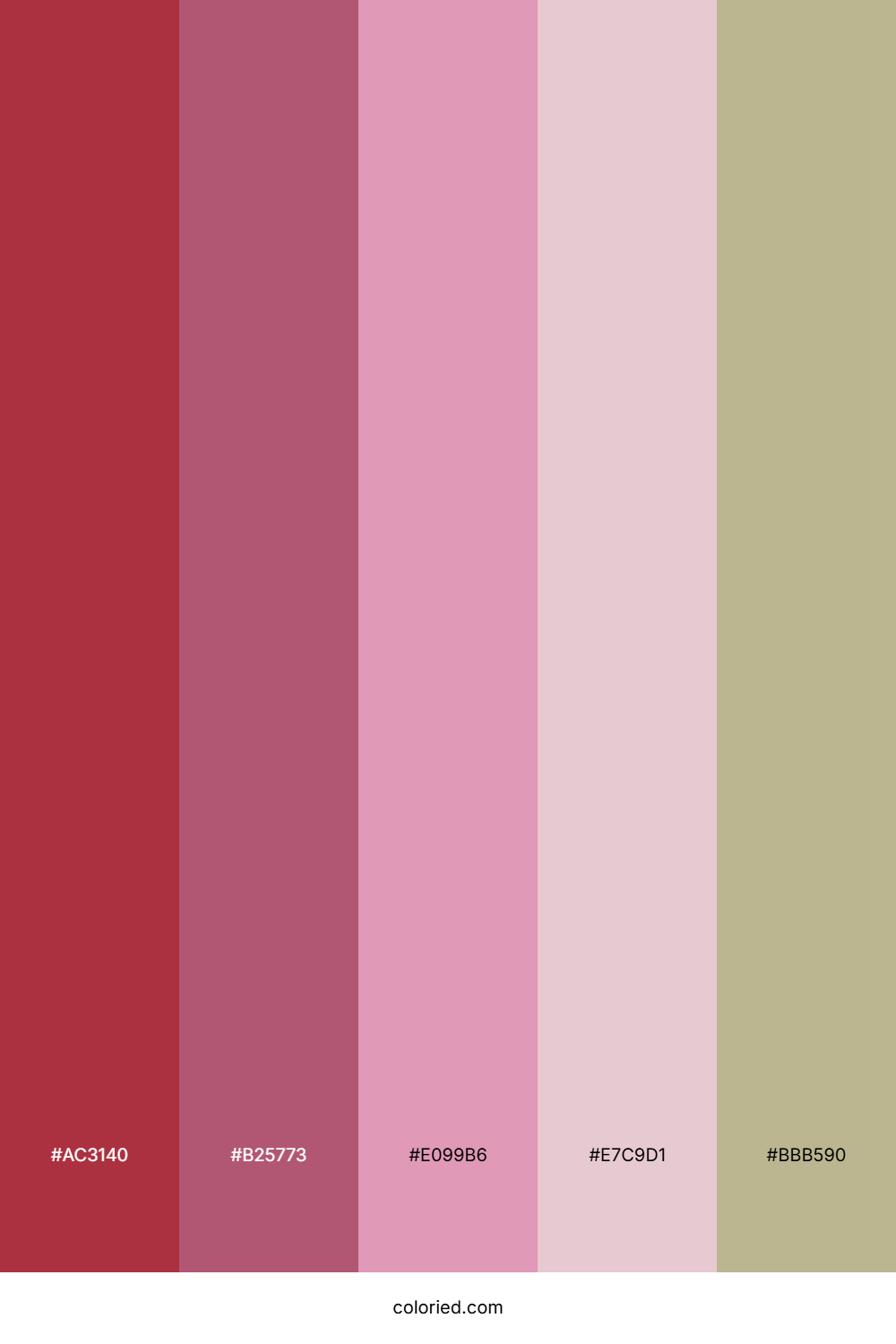 Berry Blush Vanilla Color Palette