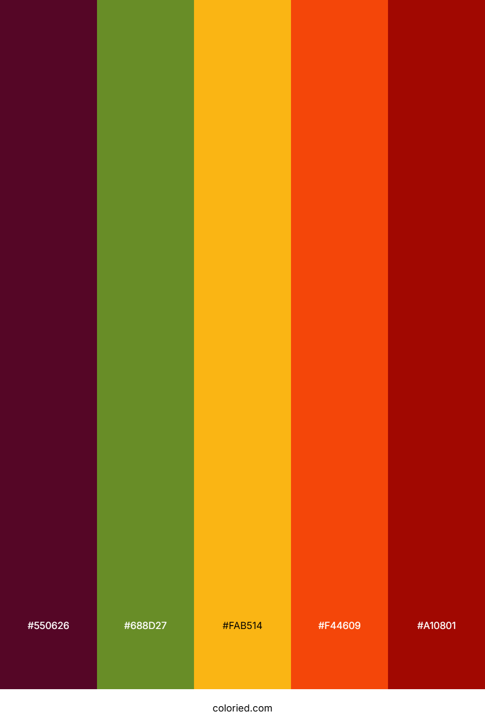 Berry Citrus Flame Color Palette