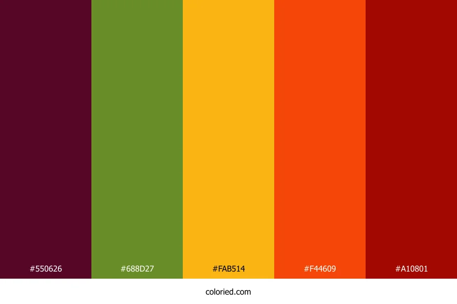 Berry Citrus Flame Color Palette