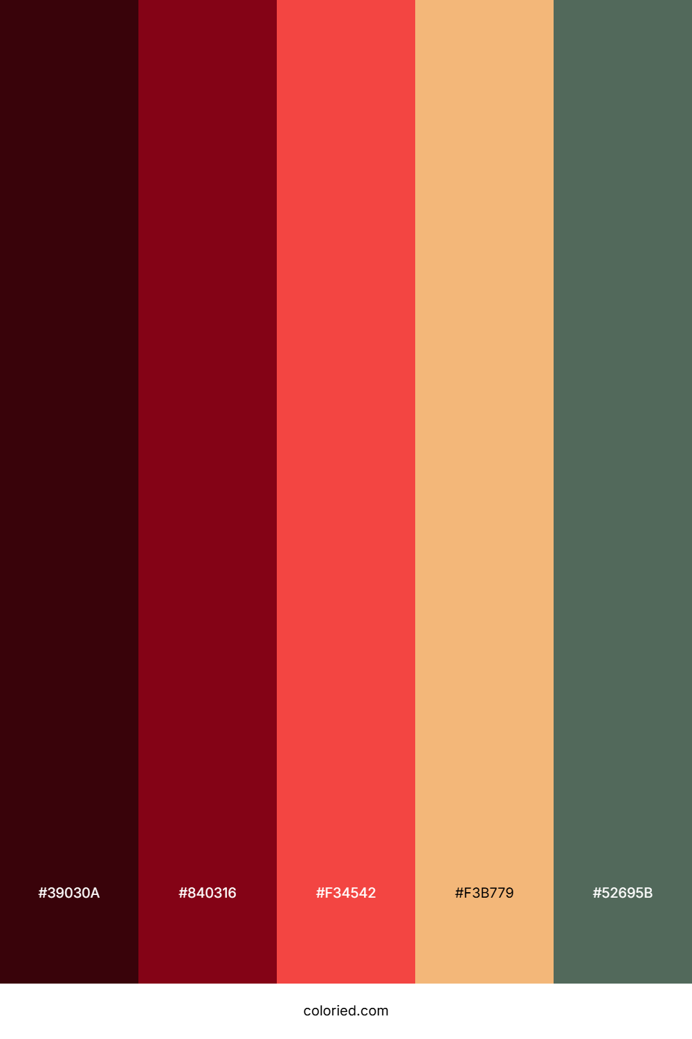 Berry Rose Ember Color Palette