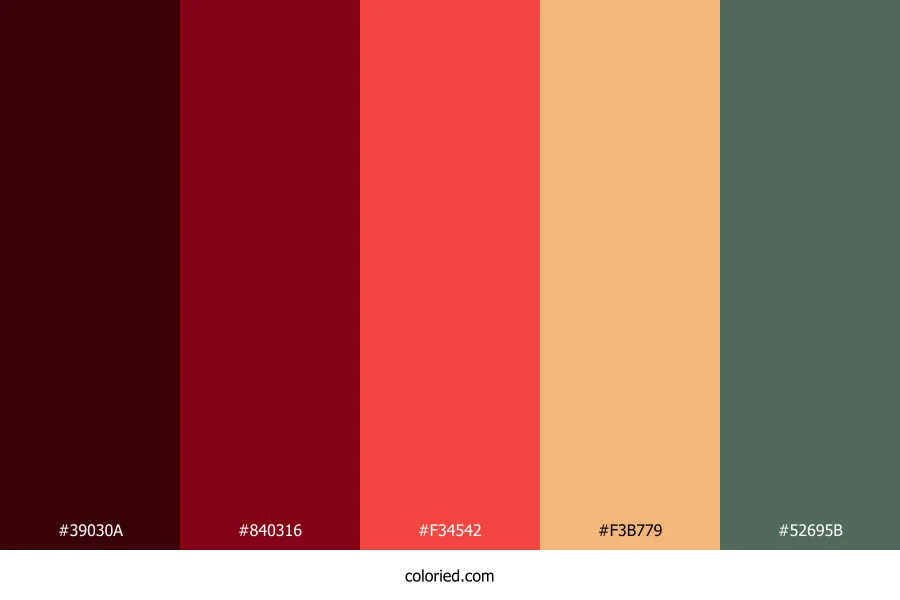 Berry Rose Ember Color Palette