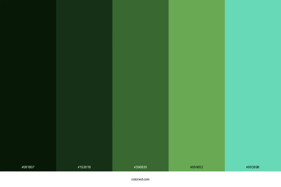 Beryl Color Palette