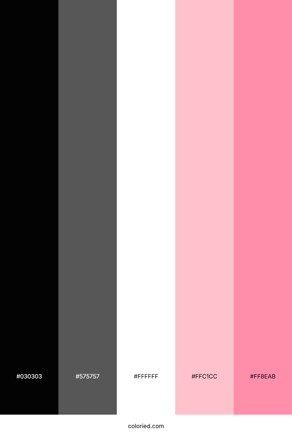 Black, White, and Pink Color Palette