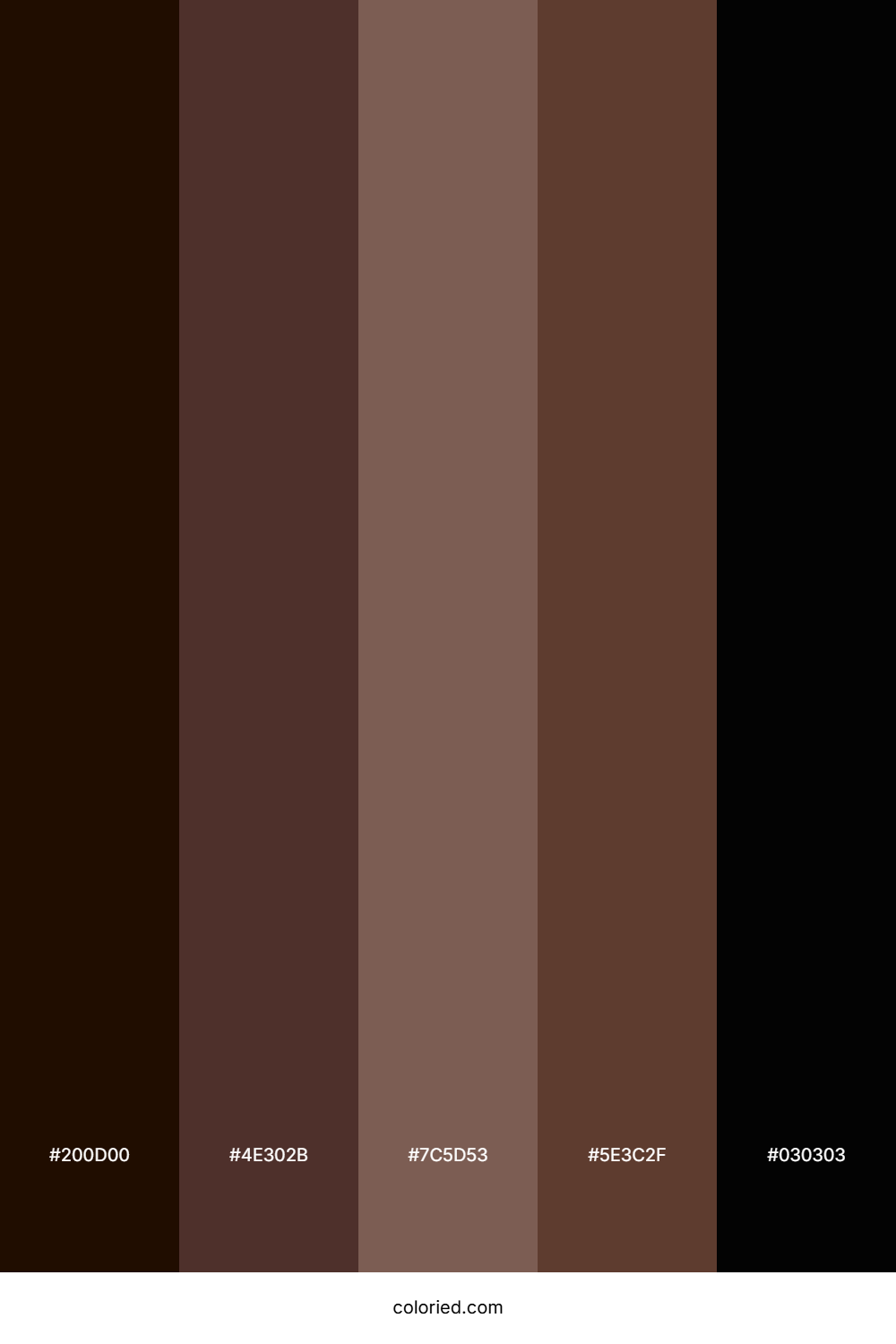 Black and Brown Color Palette