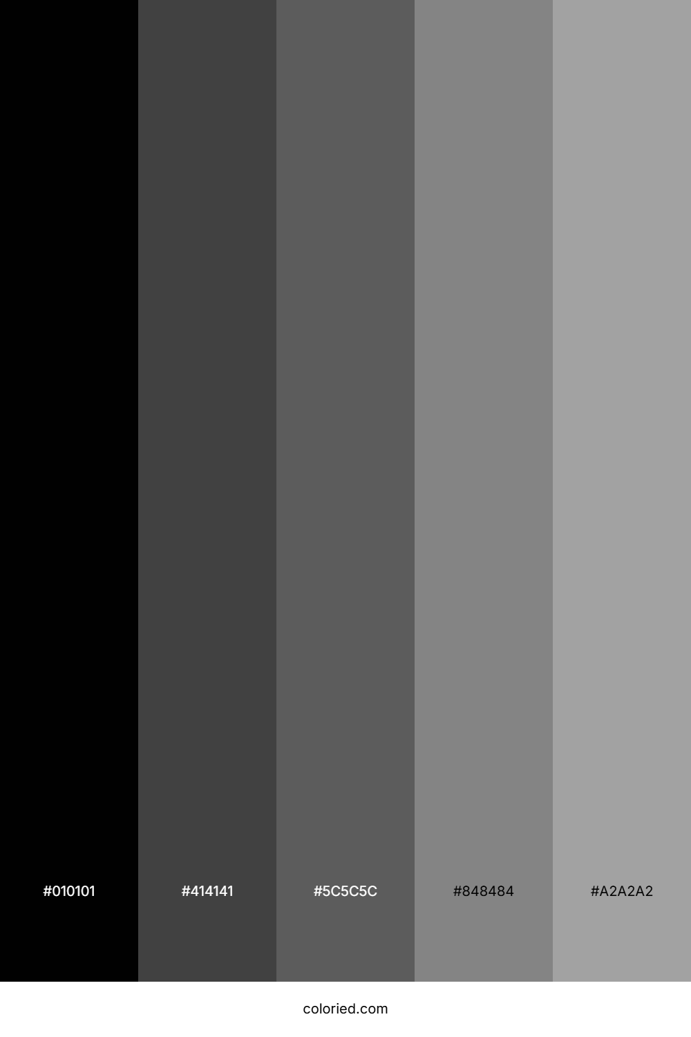 Black and Dark Gray Color Palette
