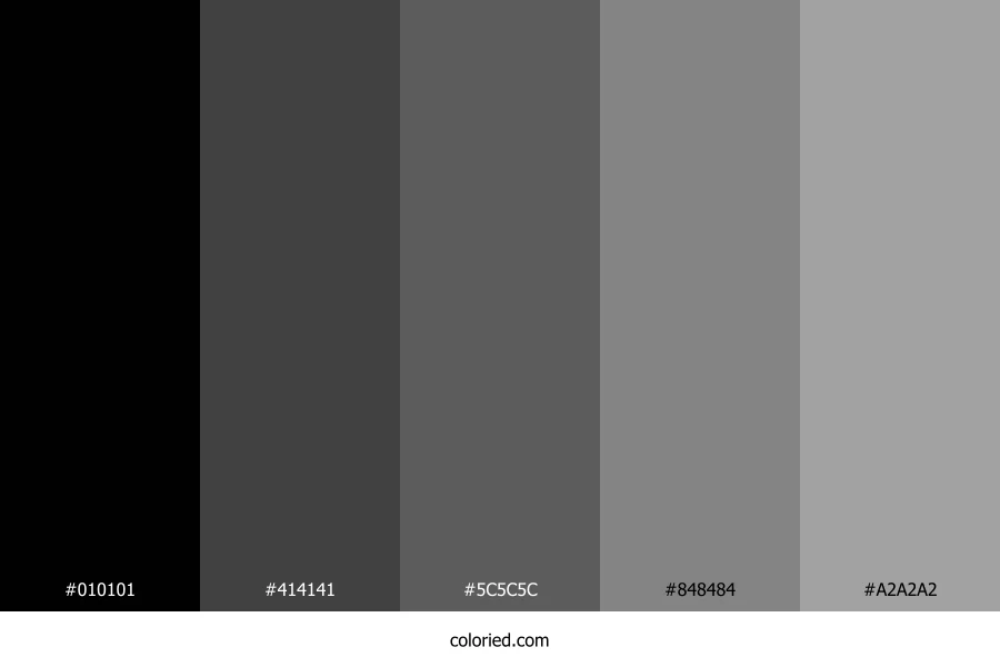 Black and Dark Gray Color Palette