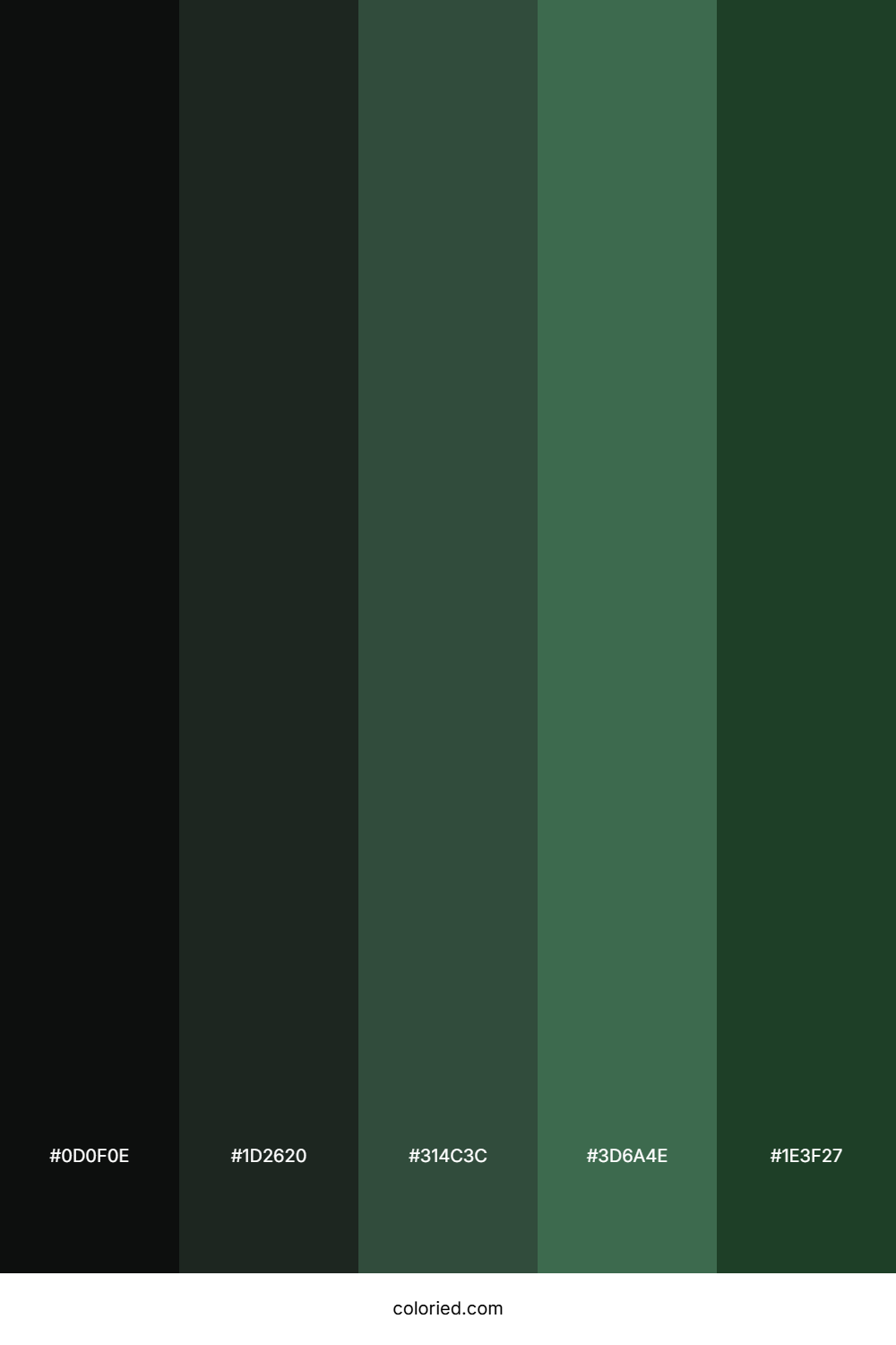 Black and Dark Green Color Palette