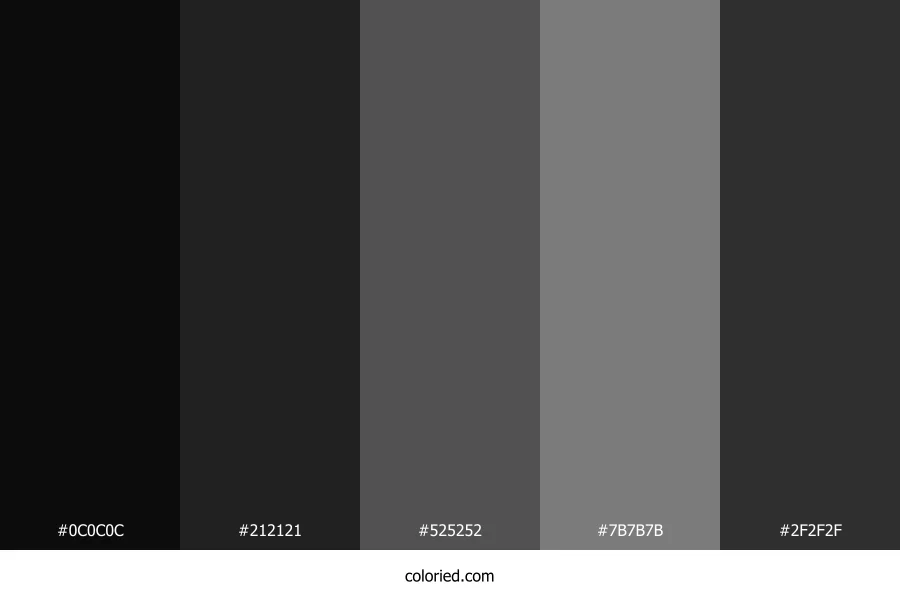 Black and Dark Grey Color Palette