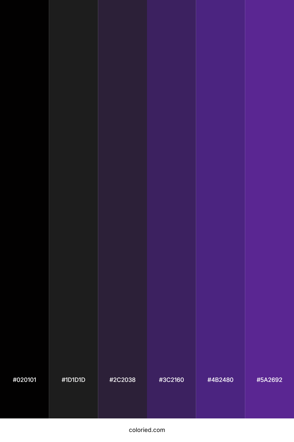Black and Deep Purple Color Palette