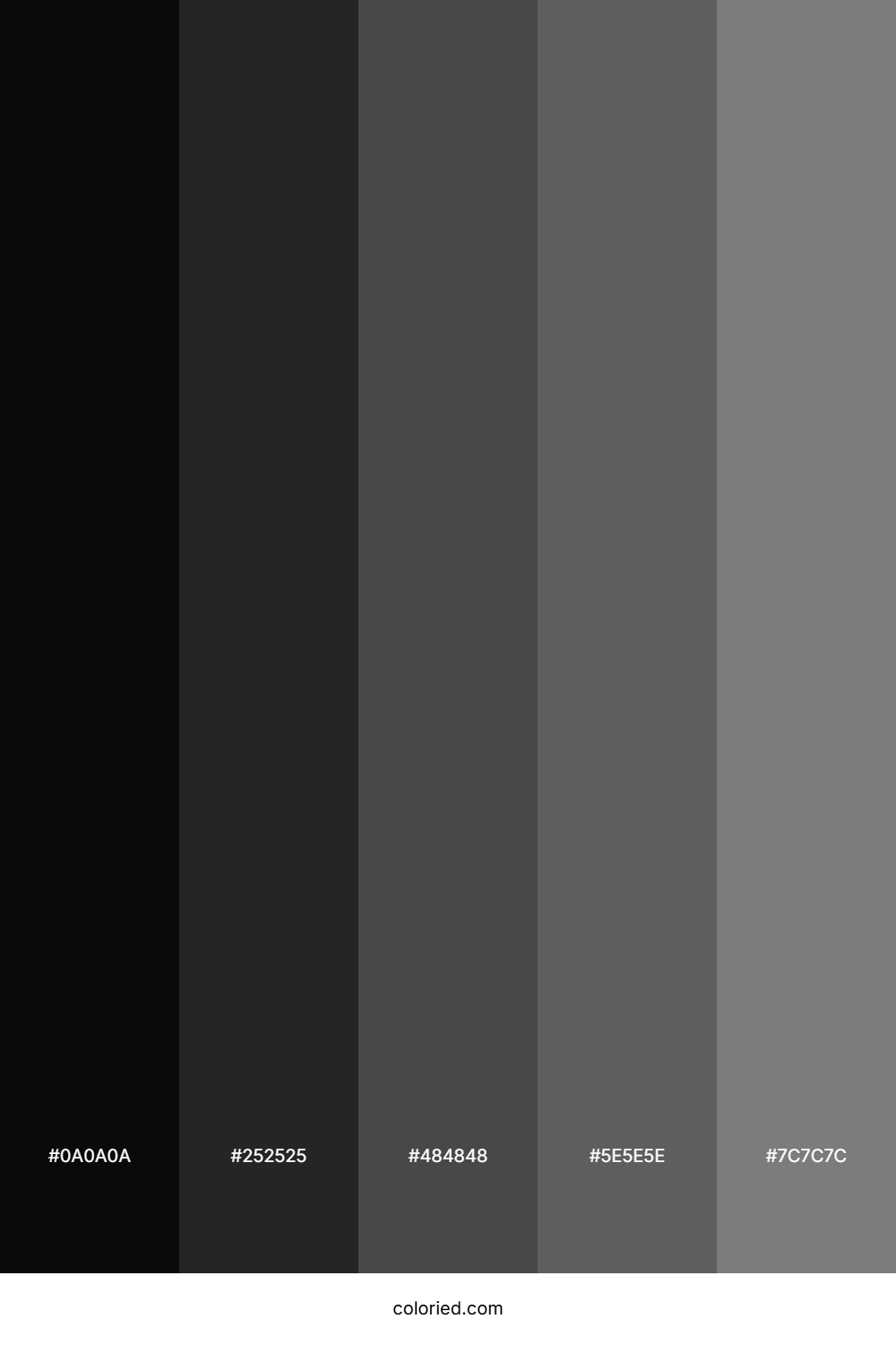 Black and Gray Color Palette