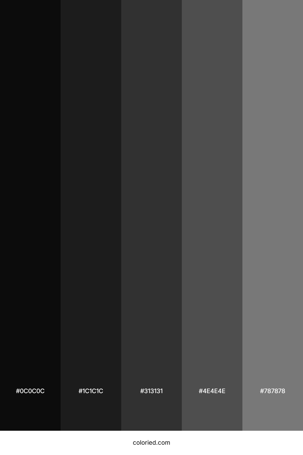 Black and Grays Color Palette