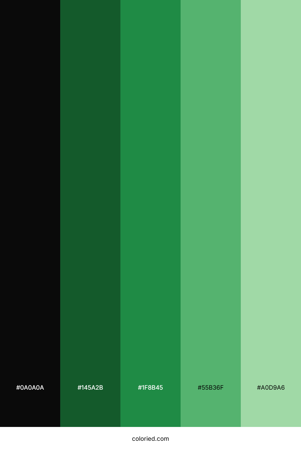 Black and Green Color Palette